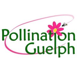 Pollination Guelph