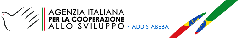 Italian Cooperation Agency allo Sviluppo